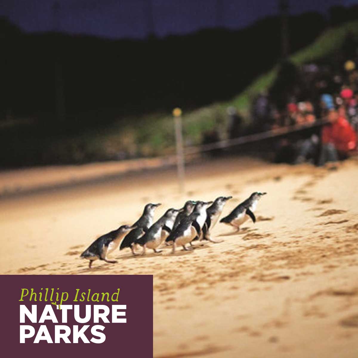 Universal design assessment for one of Australia’s iconic experiences.